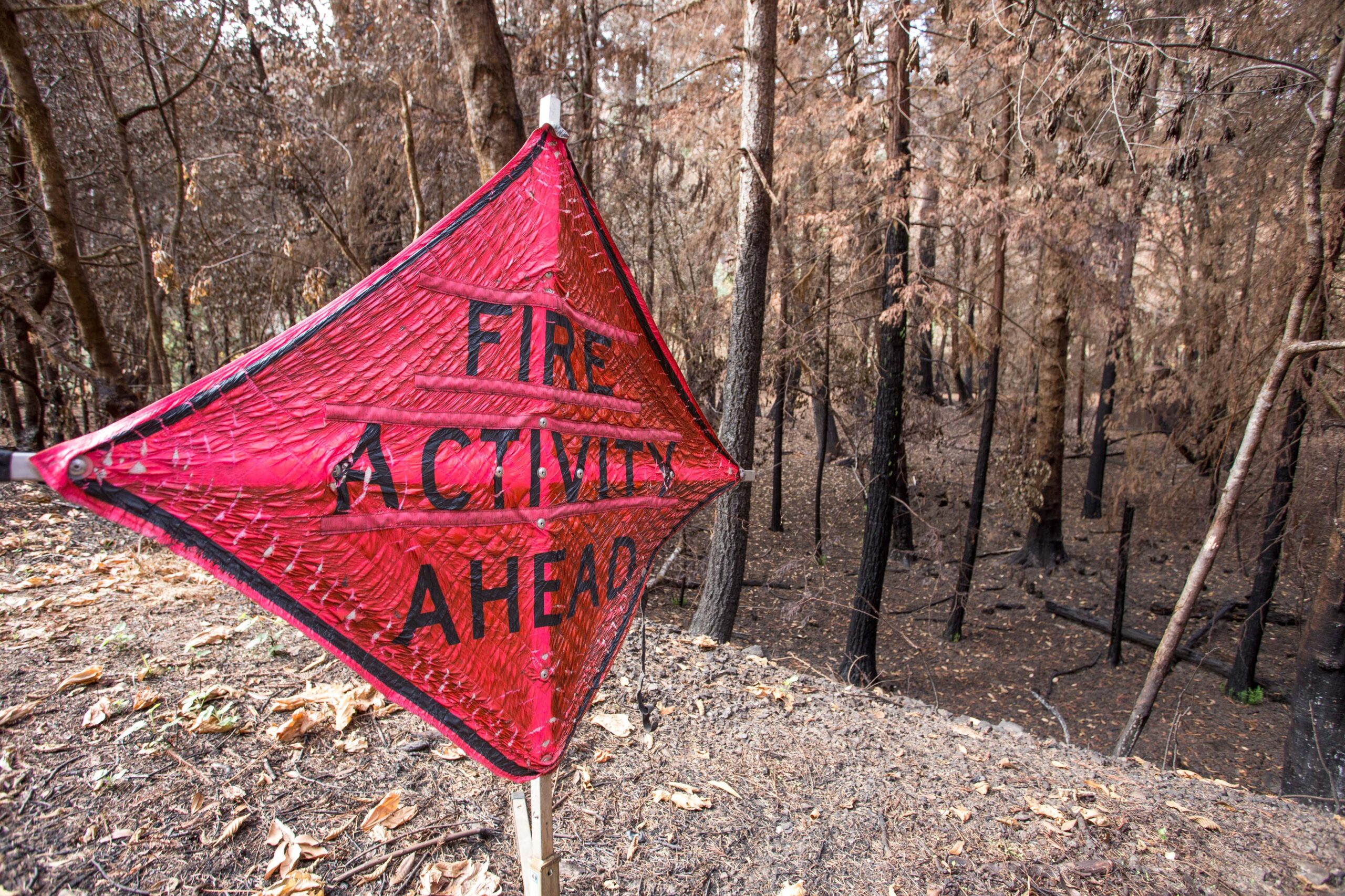 Berkely research concludes aggressive vegetation management and firefighting techniques decrease the risk of wildfire