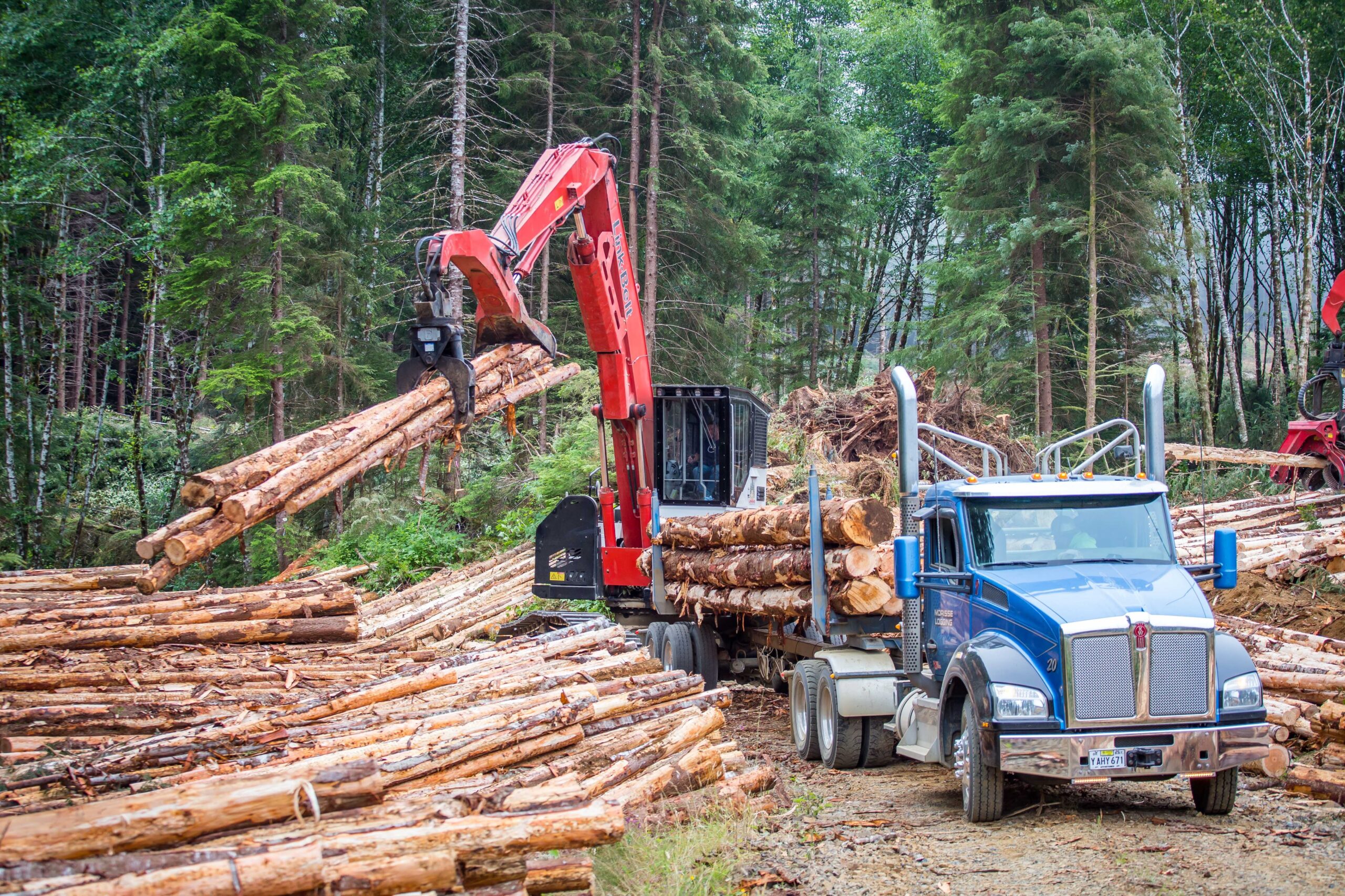 New Study Shows Forest Treatments Reduce Wildfire Severity